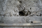 Lauftunnel Nagetiere