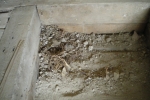 Nest Nagetiere